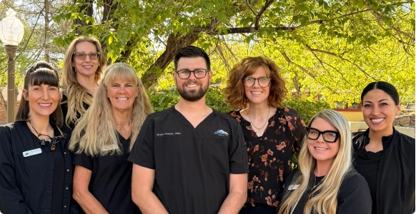 Meet the Team